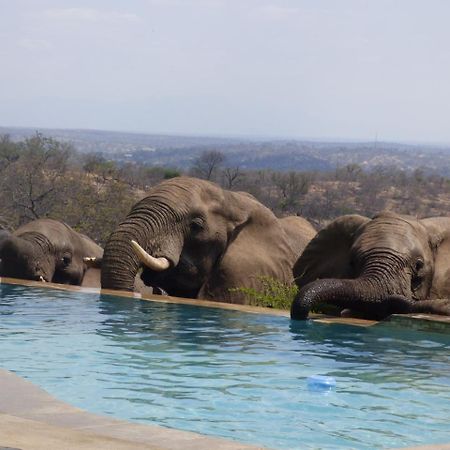 Mbizi Bush Lodge Grietjie Game Reserve Dış mekan fotoğraf