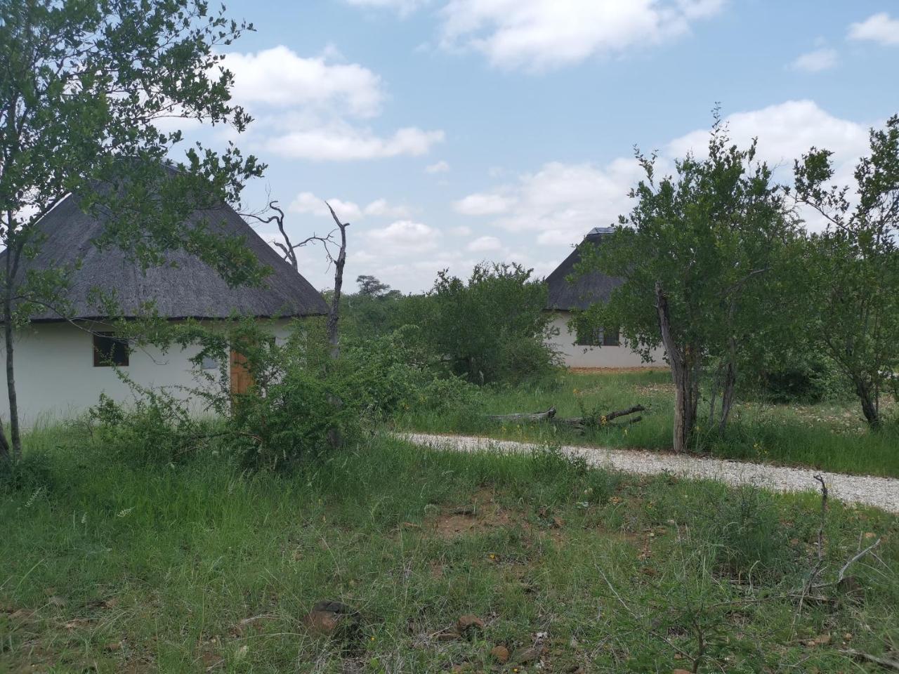 Mbizi Bush Lodge Grietjie Game Reserve Dış mekan fotoğraf