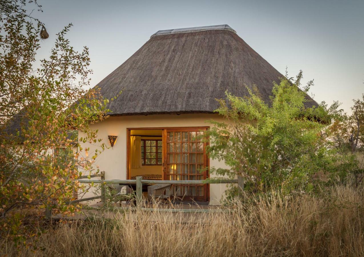 Mbizi Bush Lodge Grietjie Game Reserve Dış mekan fotoğraf
