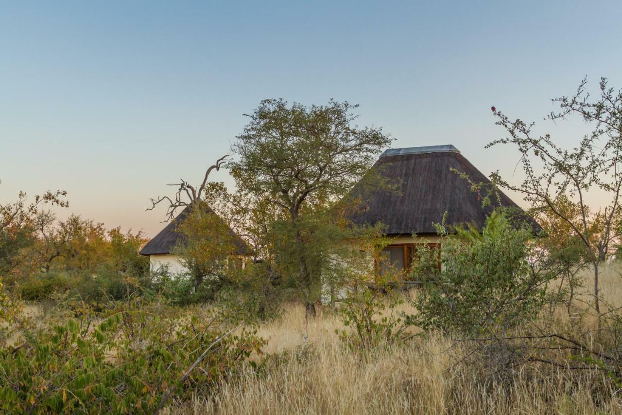 Mbizi Bush Lodge Grietjie Game Reserve Dış mekan fotoğraf