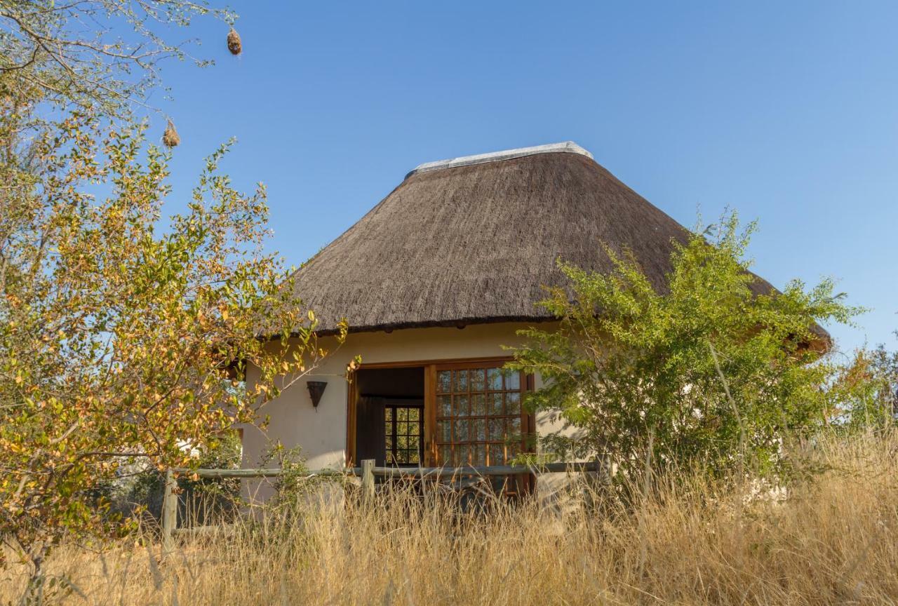 Mbizi Bush Lodge Grietjie Game Reserve Dış mekan fotoğraf