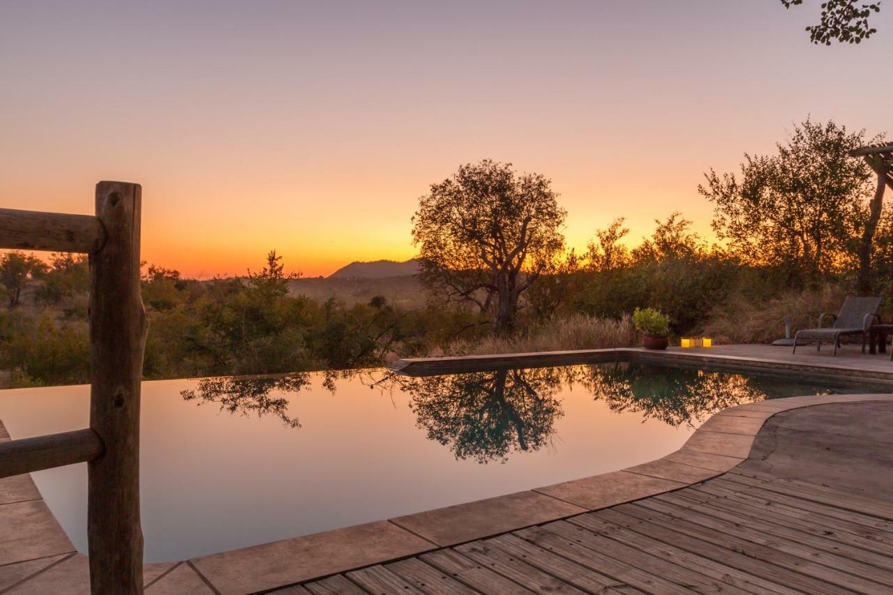 Mbizi Bush Lodge Grietjie Game Reserve Dış mekan fotoğraf