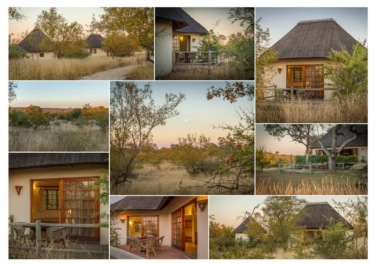 Mbizi Bush Lodge Grietjie Game Reserve Dış mekan fotoğraf