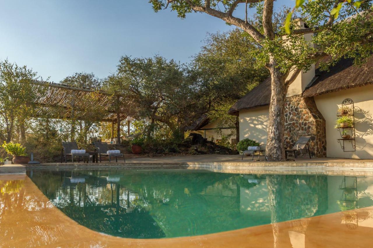 Mbizi Bush Lodge Grietjie Game Reserve Dış mekan fotoğraf
